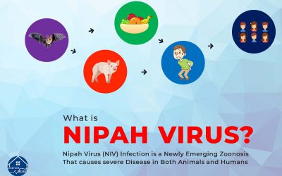What is a Nipah Virus?